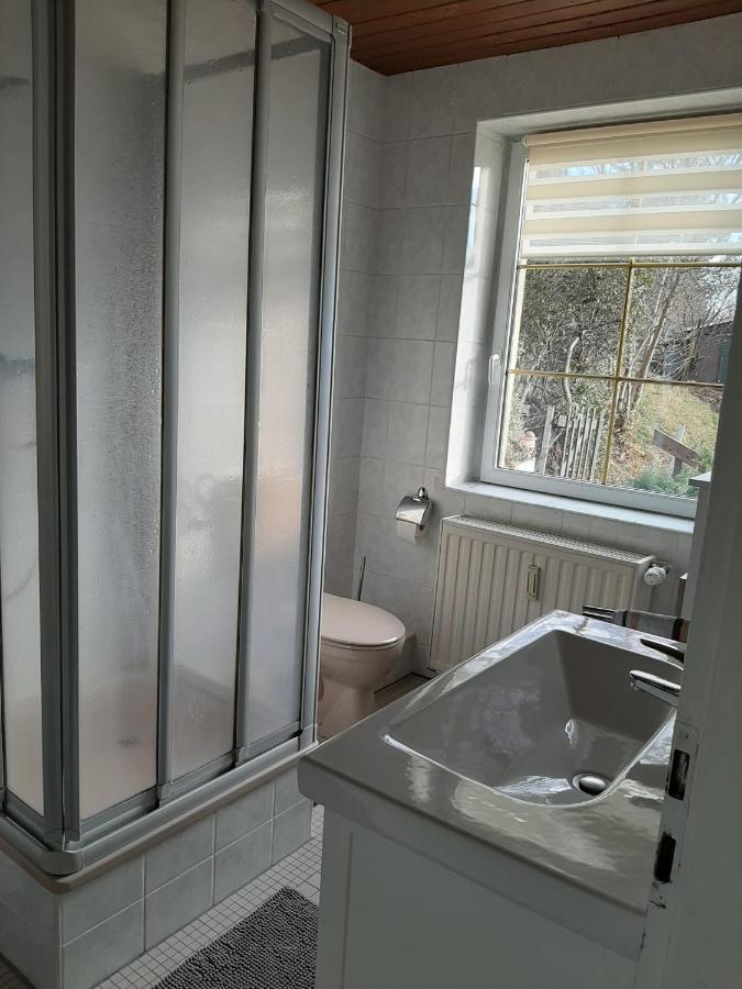 Ferienhaus Elbsommer Am Weinberg II Meißen Kültér fotó