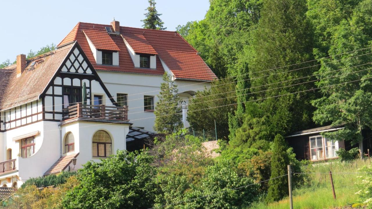 Ferienhaus Elbsommer Am Weinberg II Meißen Kültér fotó