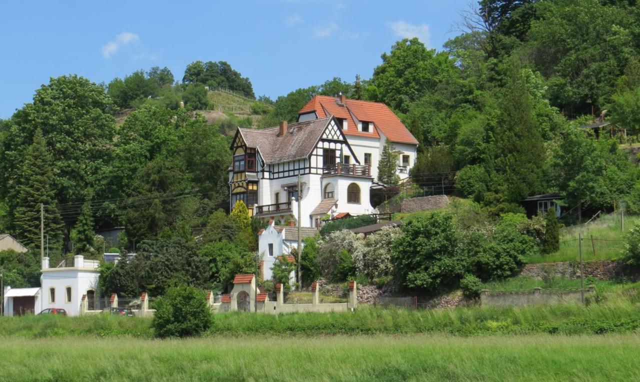 Ferienhaus Elbsommer Am Weinberg II Meißen Kültér fotó